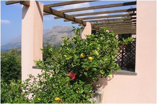 Hotel Martino Maratea Bagian luar foto
